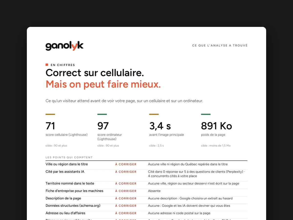 Page 2 du rapport d’audit ganolyk : Ce que l’analyse a trouvé